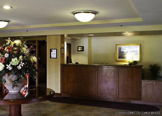 Holiday Inn Baltimore BWI Airport By Ihg Linthicum Nội địa bức ảnh